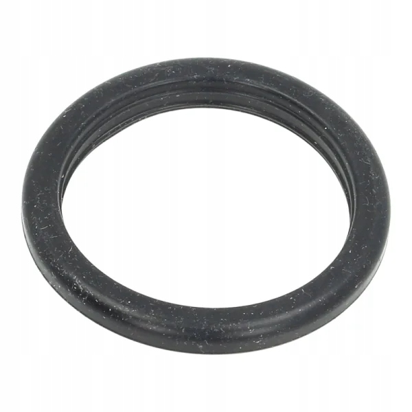 DeLonghi uszczelka sitko kolbowy