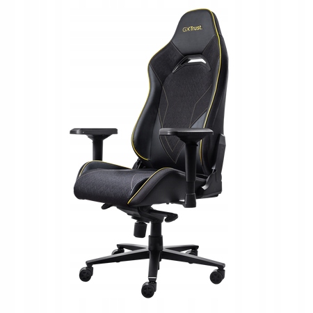 Trust GXT721 Ruya Pro Gaming Chair