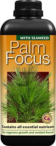 Growth Technology Palm Focus 1L hnojivo pro palmy – pro domácí i venkovní použití