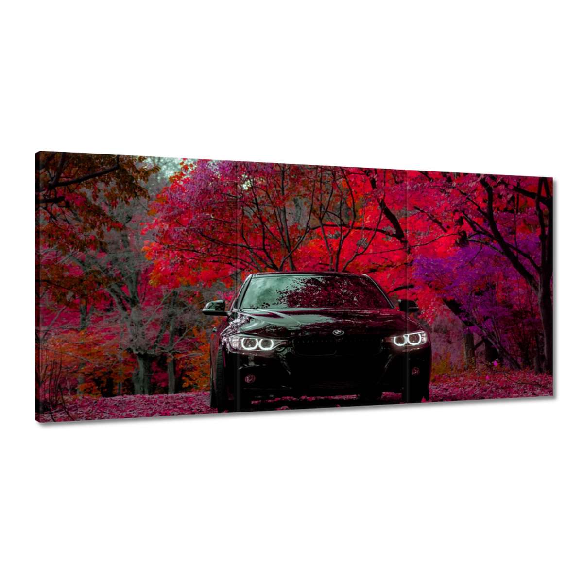 Obrazy 180x90 Čierne Bmw Jeseň