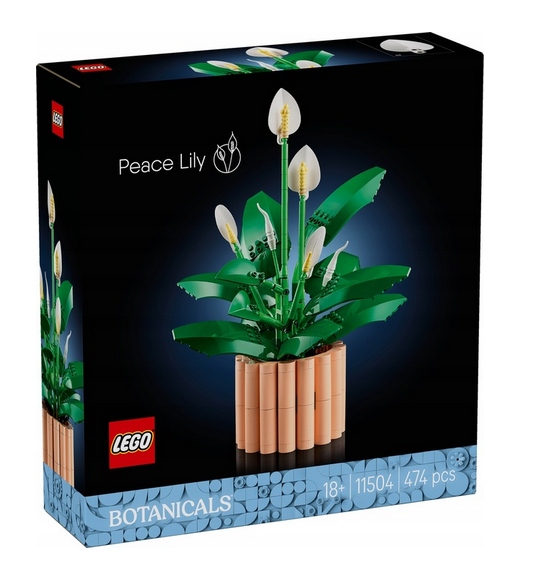 Lego 11504 Botanicals Křídlokvět