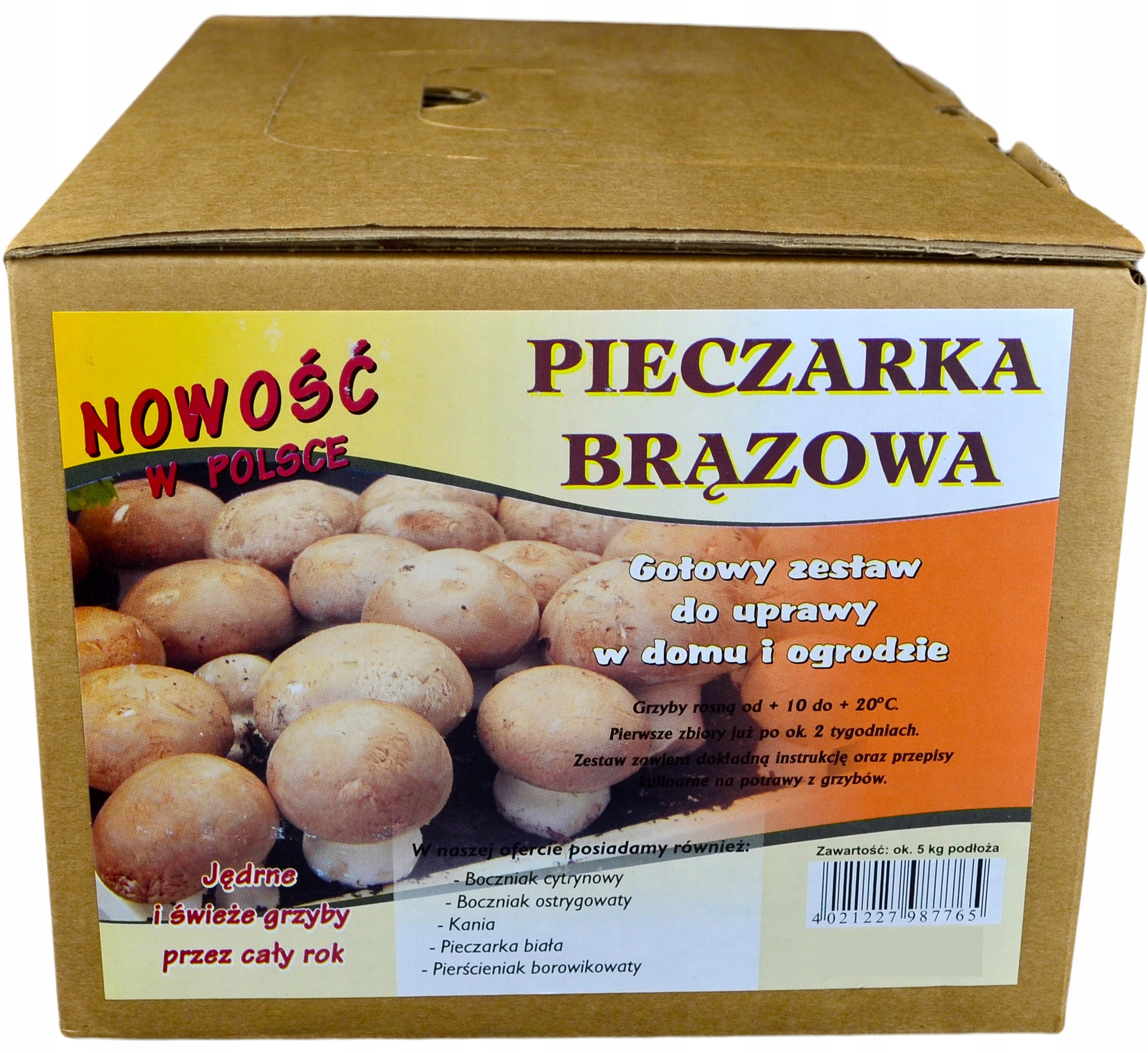 

Grzyby w Domu Ogrodzie Pieczarka Brązowa Grzybnia