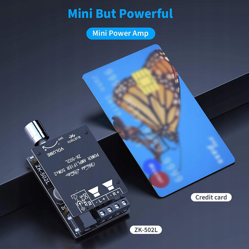 Płyta wzmacniacza mocy Cyfrowy głośnik modułu Kolor brązowy