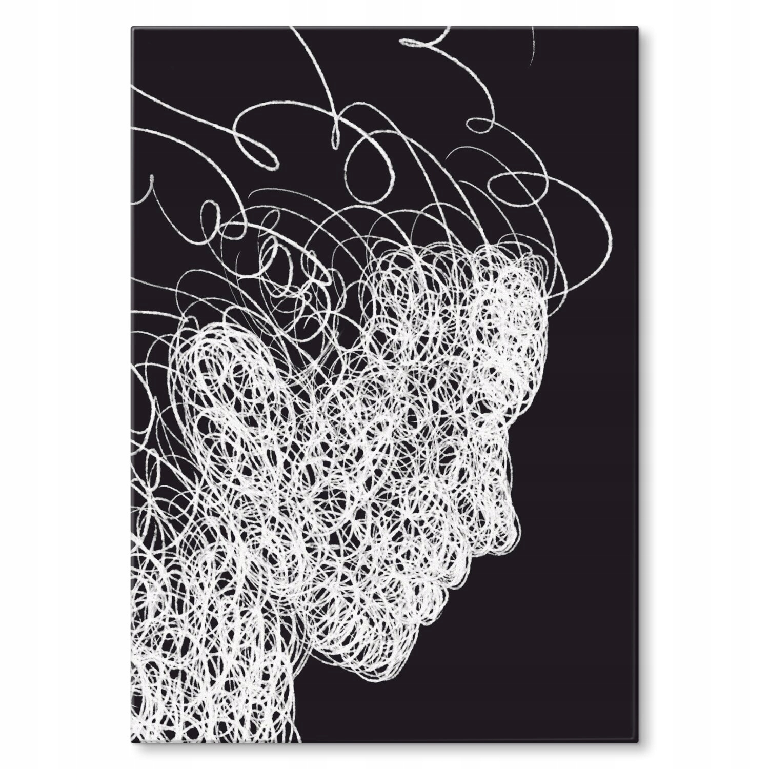 Kovový plakát curly hair Szyld Plech 42 x 59,4 cm Dárek