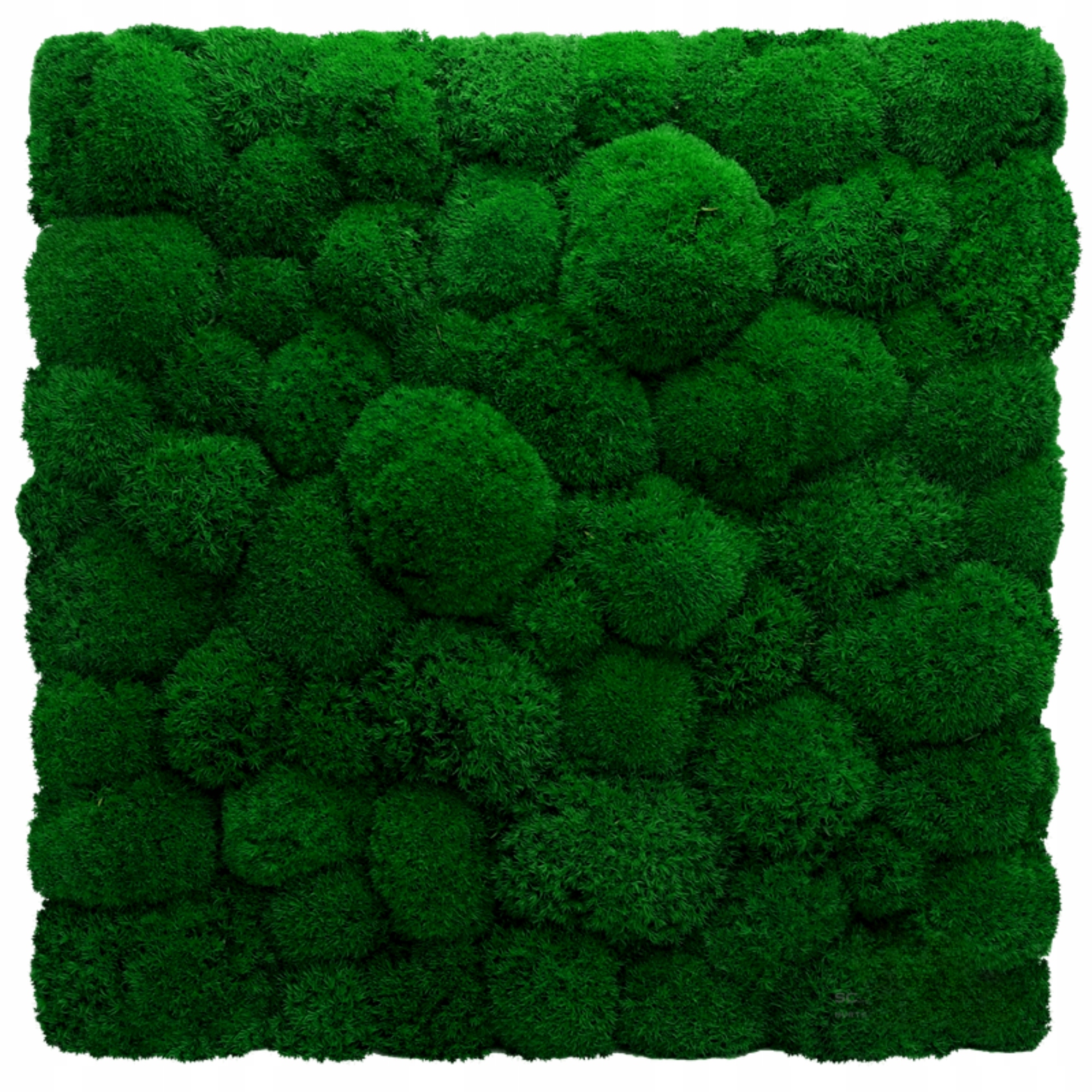 Panel z Polštářového mechu Zelená Stěna 3D mechová stěna 50x50 cm