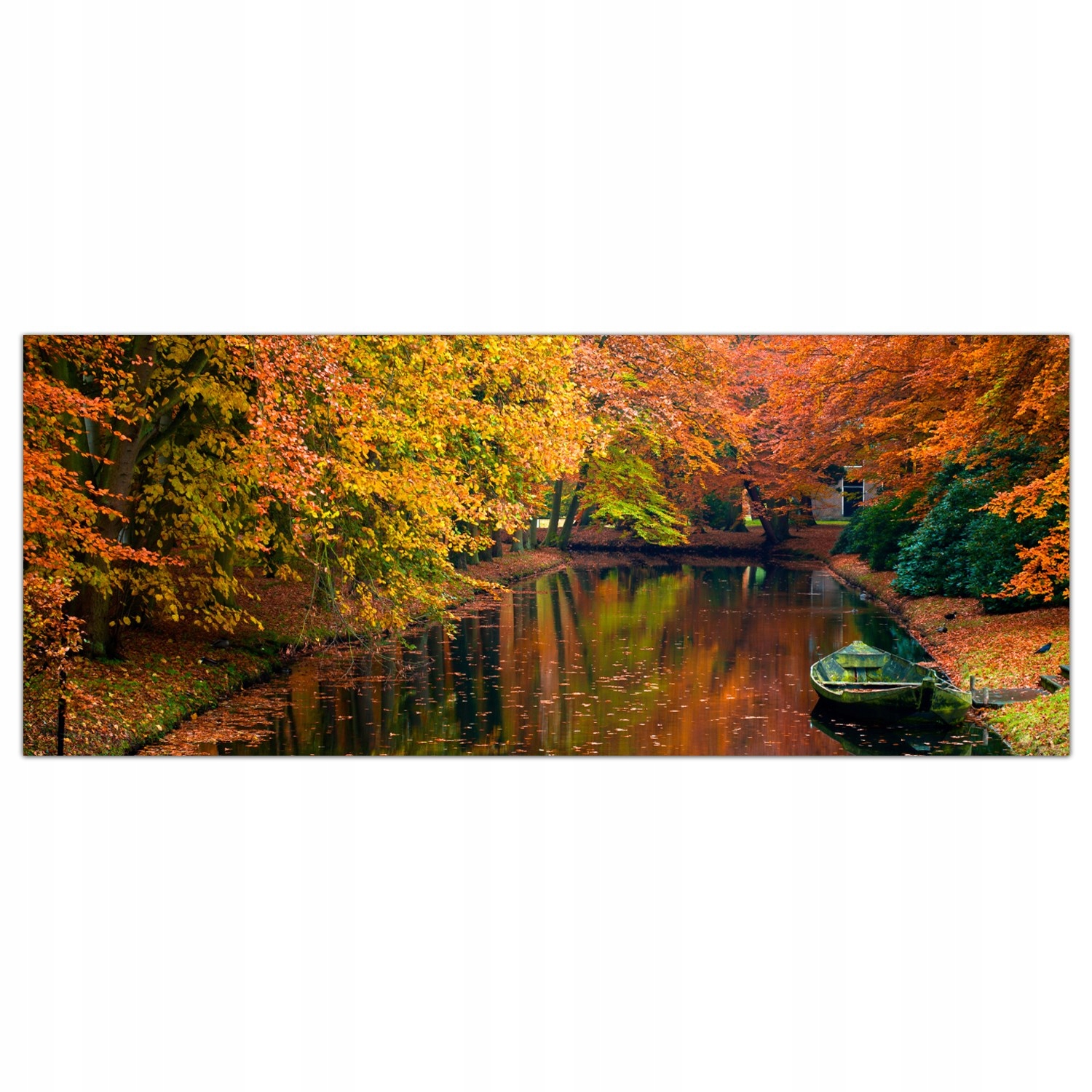 

Obraz Szklany Foto-obraz Jesień Las Drzewa 125x50