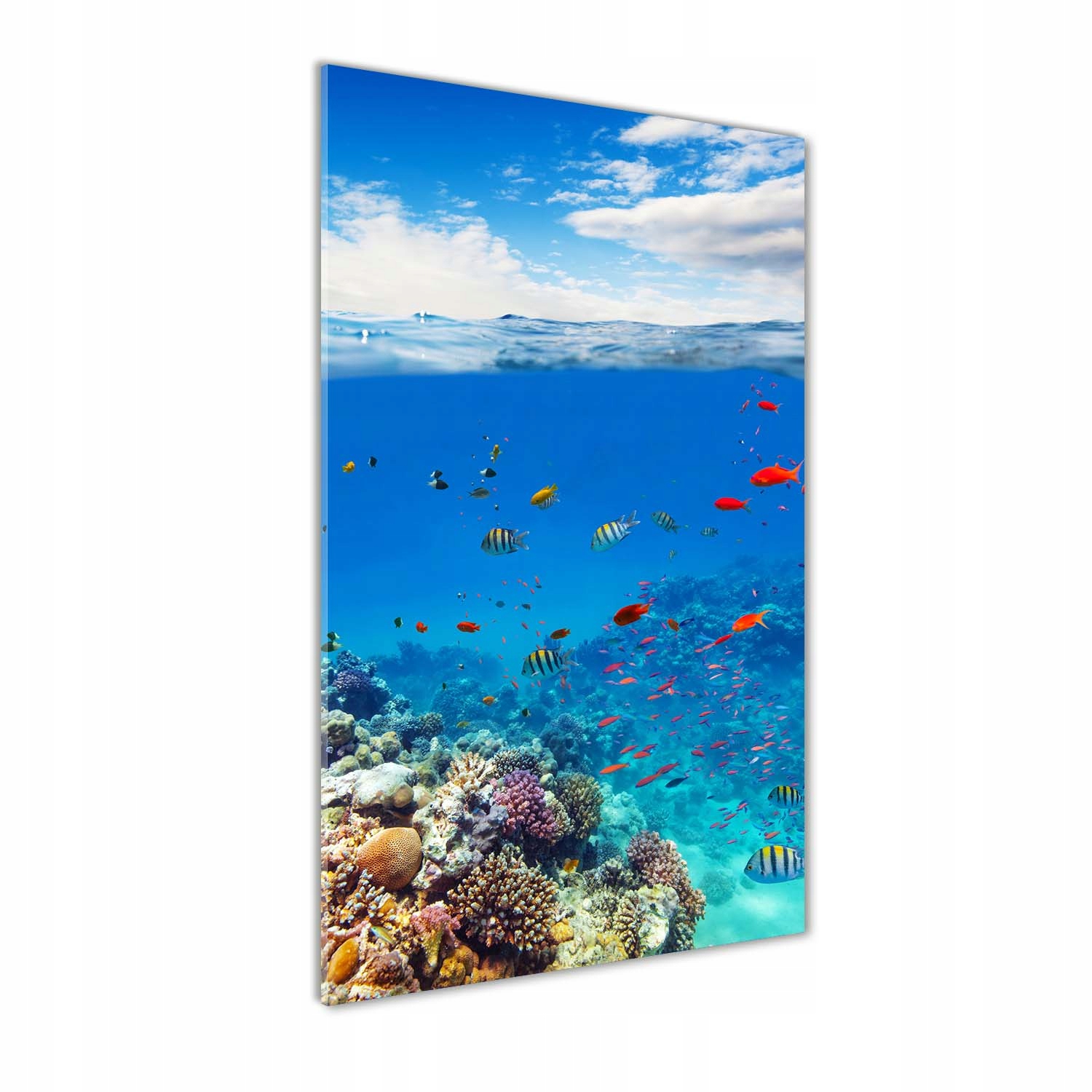 

Foto obraz szkło hartowane Rafa koralowa 60x120 cm