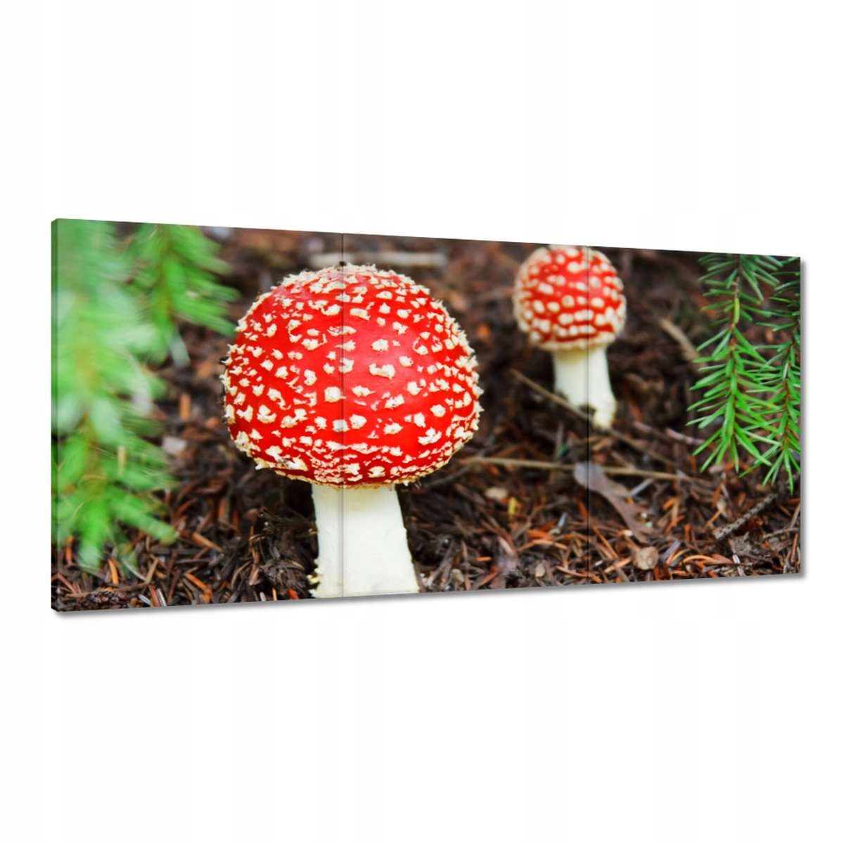 Obrazy 180x90 Muchomorky Jedovatá krása