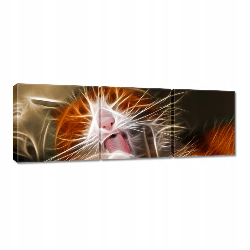 

Obrazy 60x20 Kotek fraktalny