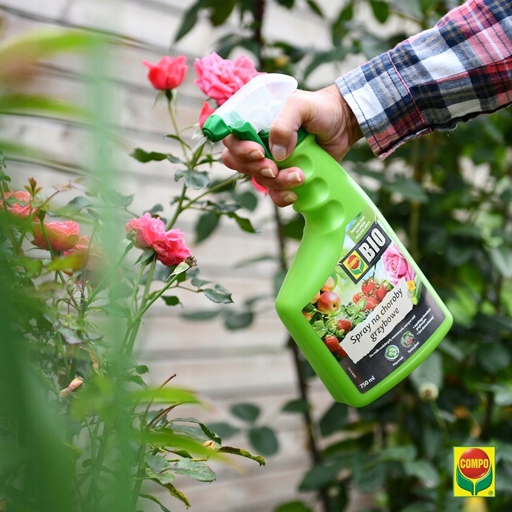 COMPO na choroby grzybowe BIO mączniak,szara pleśń Producent Compo