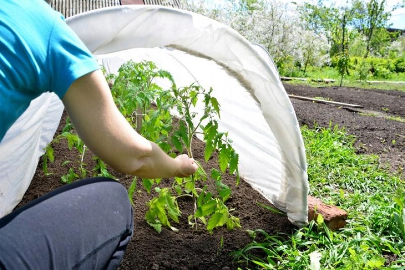 AGROWŁÓKNINA OKRYCIOWA OGRODOWA WŁÓKNINA 1.1 x 10 M WIOSENNA BIAŁA 17g Producent GardenLine