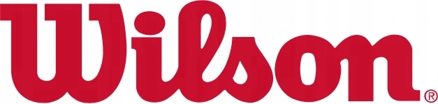 WILSON BOSTON CELTICS NBA 7 PIŁKA DO KOSZYKÓWKI Przeznaczenie na halę