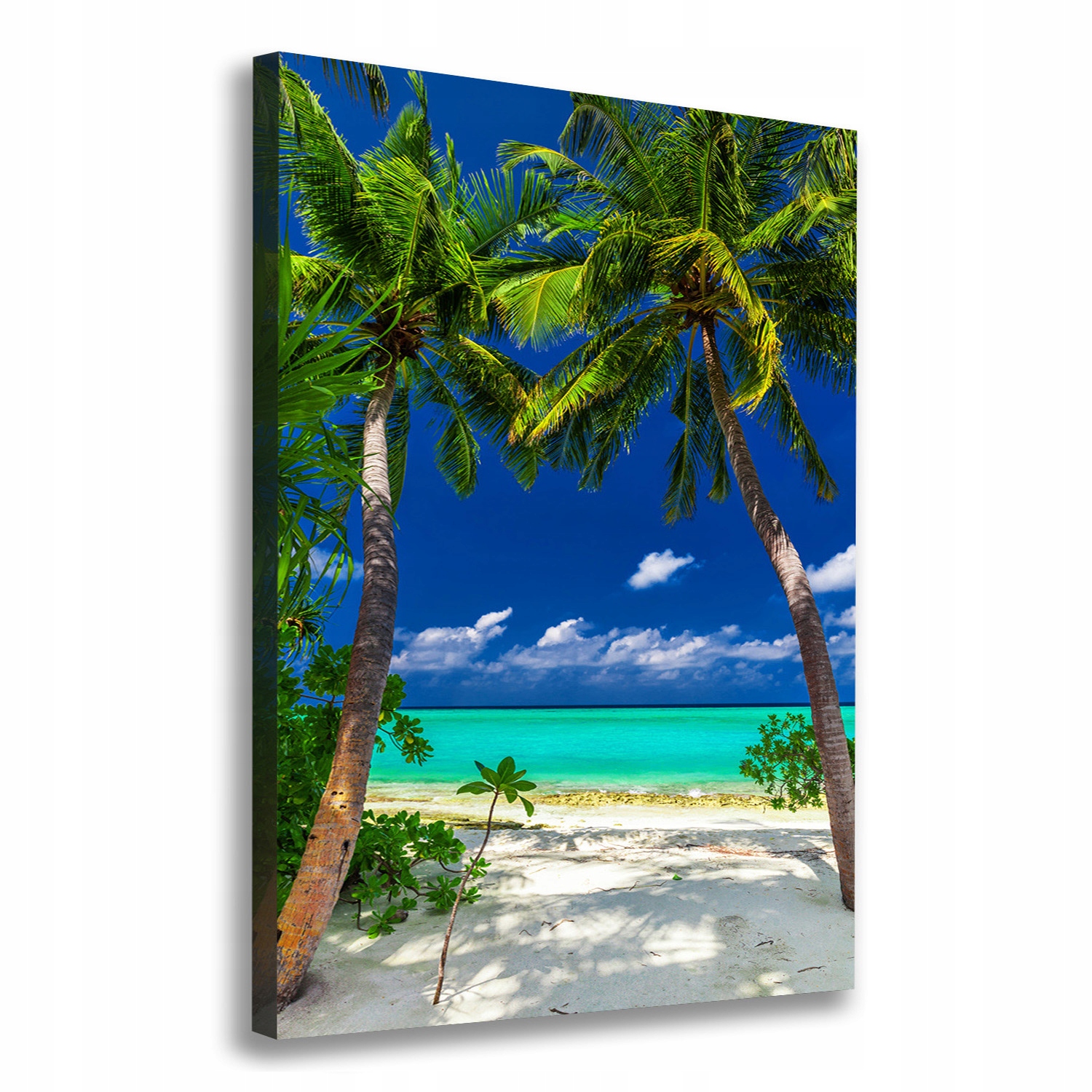 

Foto obraz na płótnie Tropikalna plaża 70x100 cm