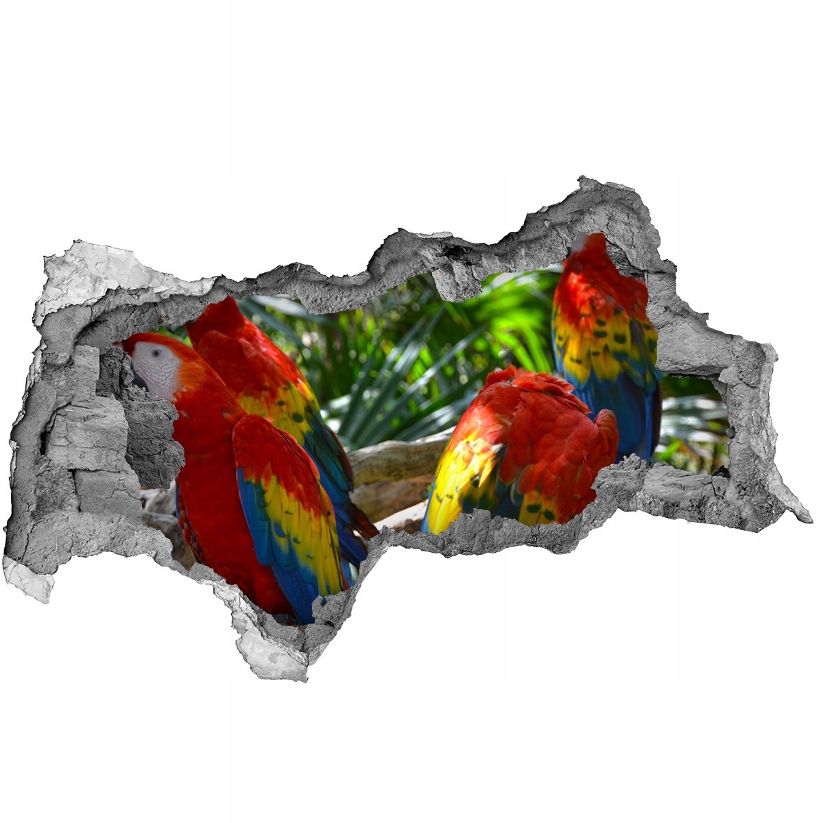 

Dziura 3d fototapeta naklejka Papugi Ary 115x88