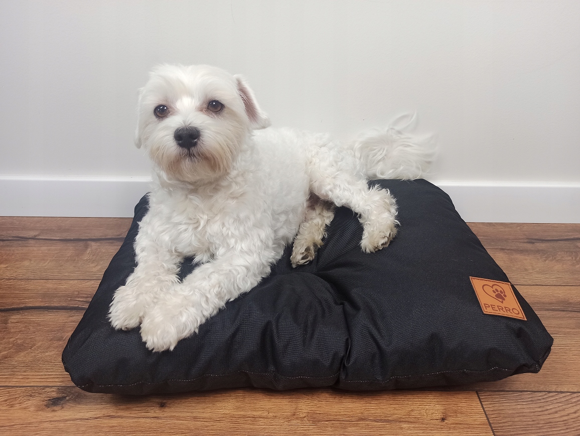 Pelíšek matrace do psího pelíšku 60x45 Perro