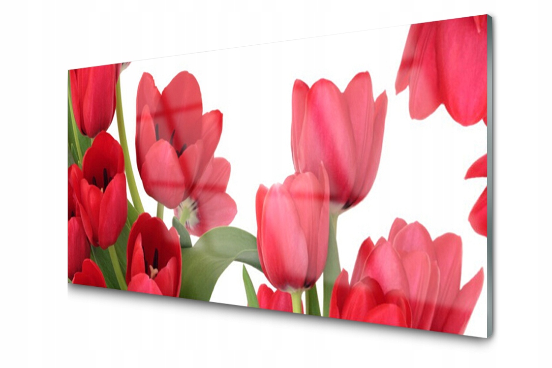 Skleněný panel Dlaždice Tulipány Květiny 100x50