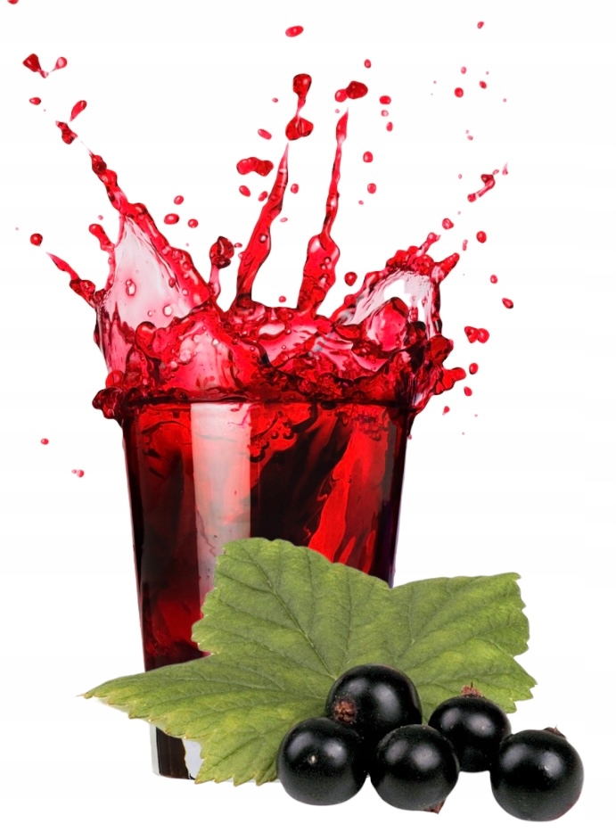 Šťáva z Černého Rybízu 100% 5 l – přírodní, Nfc