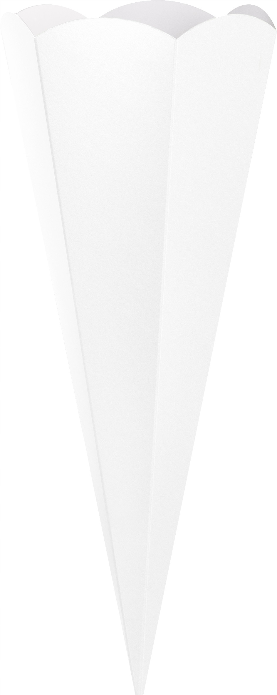 Róg obfitości tyta pierwszoklasisty, biały