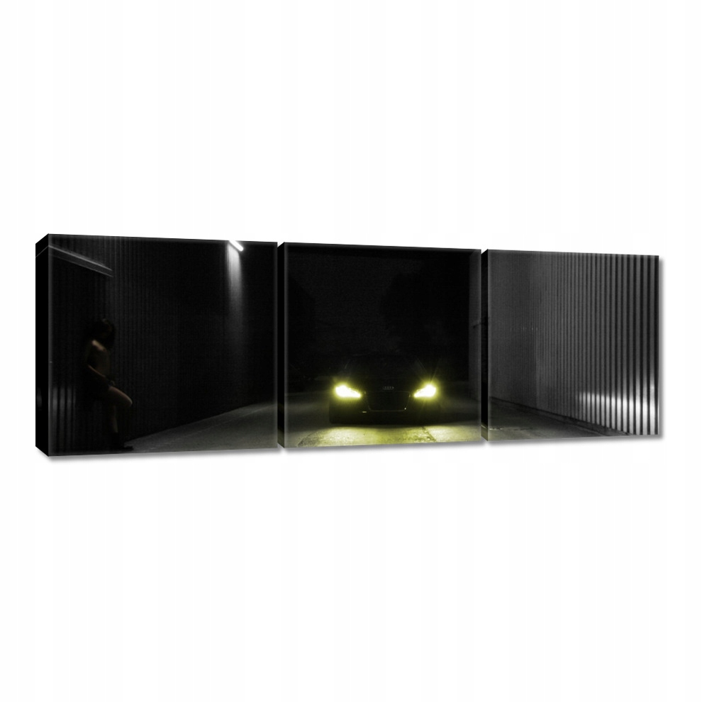 

Obrazy 60x20 Audi nocą Dziewczyna