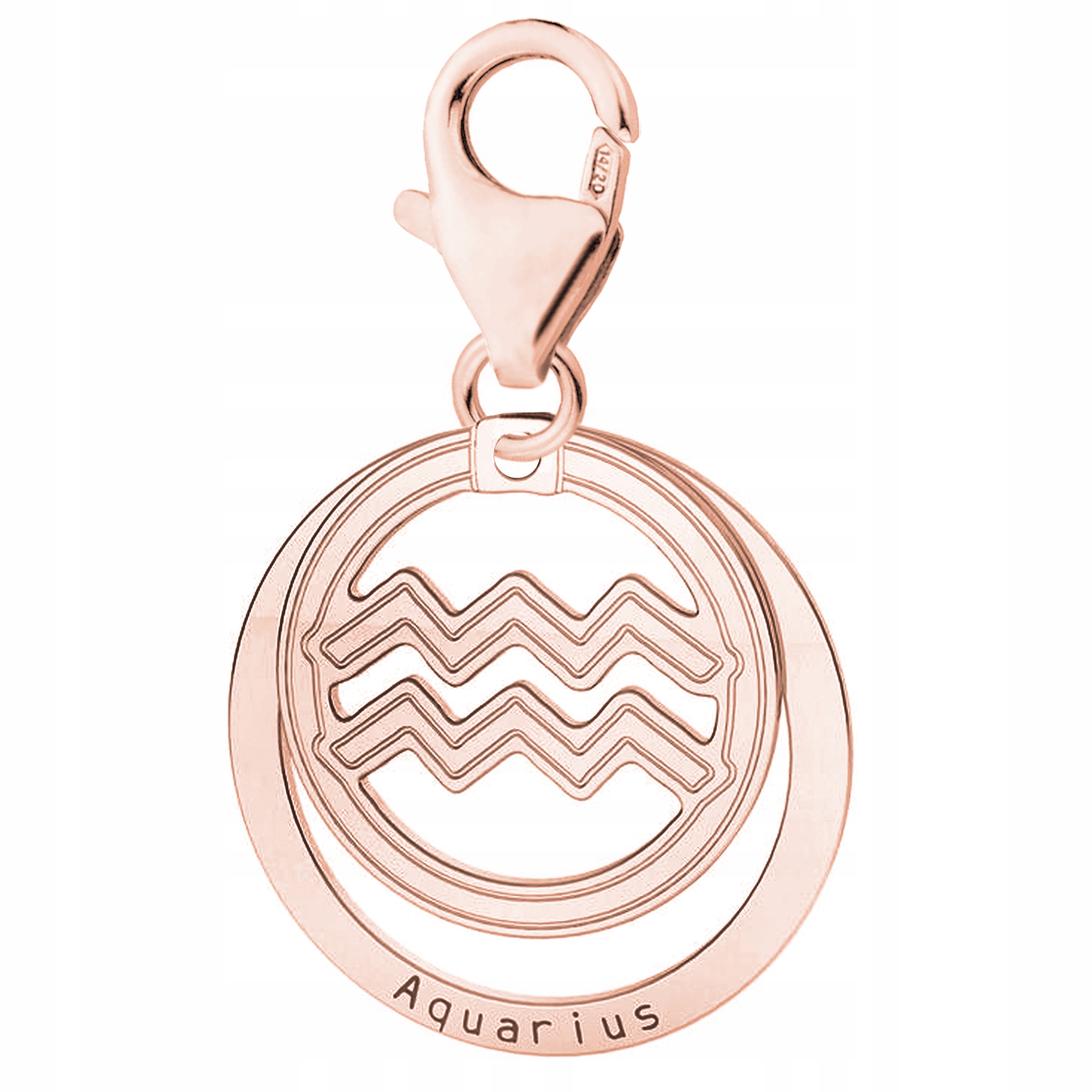 Přívěsek Znamení Vodnář růžové zlato stříbro 925