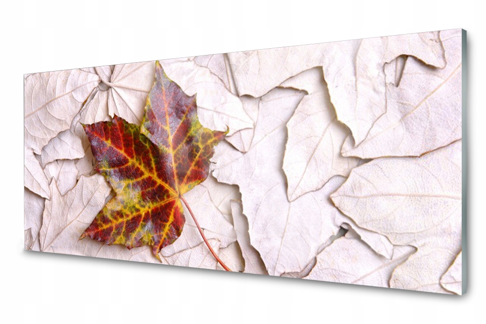 Sklenený panel do kuchyne Listy Rastlina 125x50