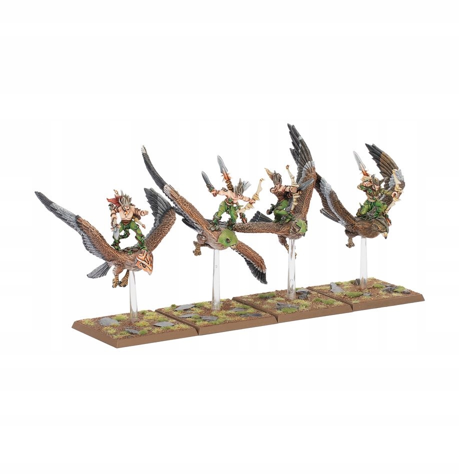 The Old World Warhawk Riders