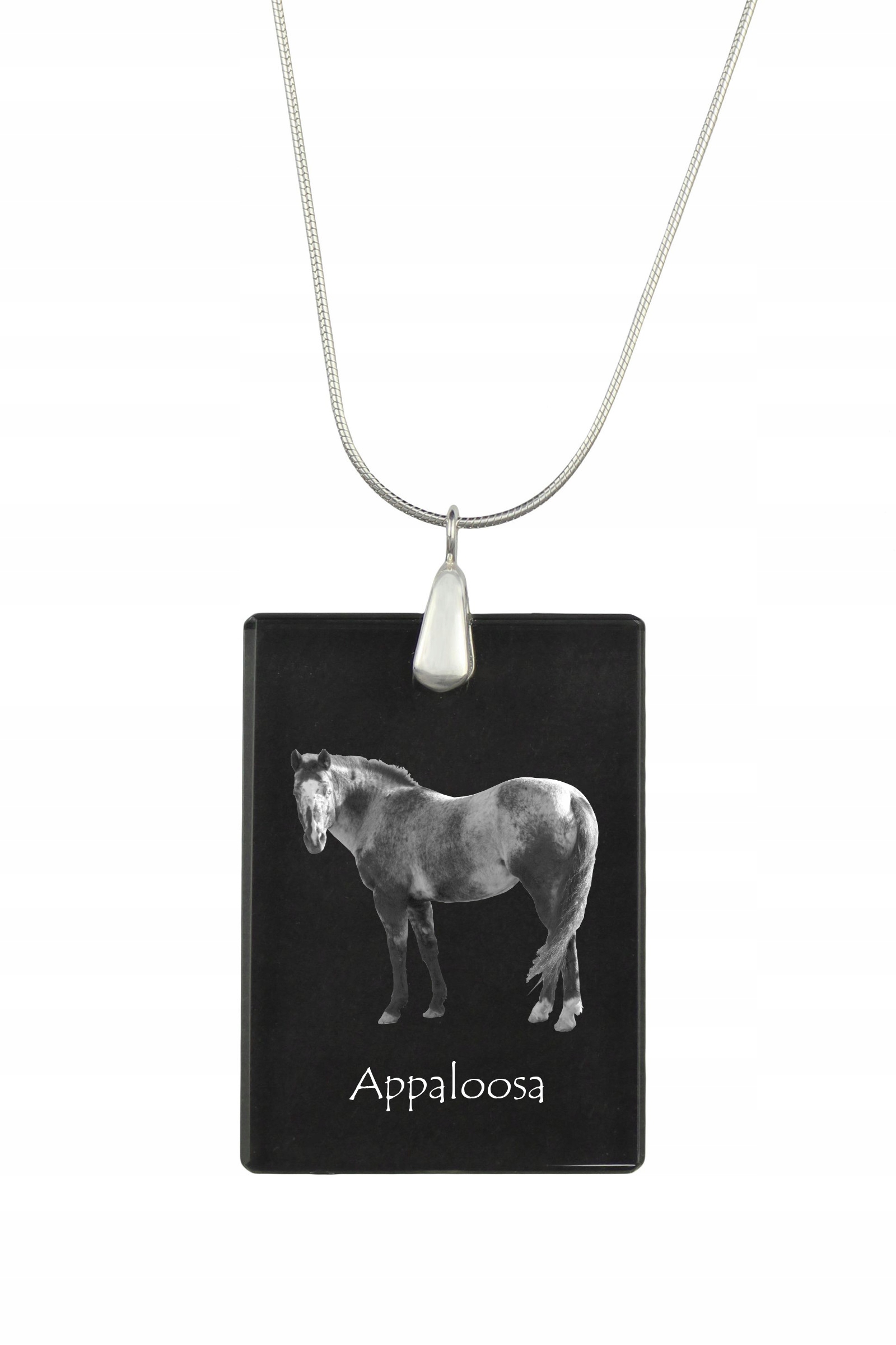 Appaloosa stříbrný náhrdelník s křišťálovým přívěskem s koněm a fotografií