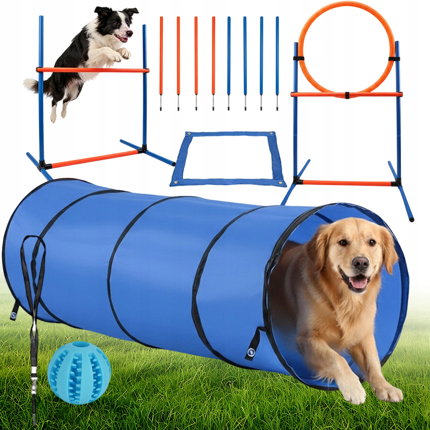 Sada Na Agility Pro Psy, Tréninkové Ploty S Obručemi A Tunelem 190 CM