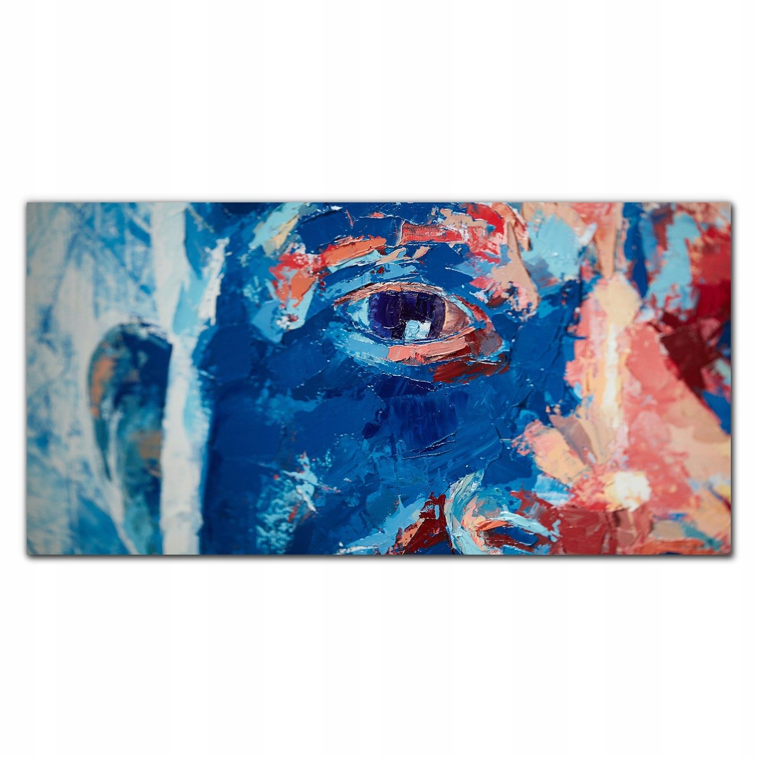 

Obraz akryl z nadrukiem z grafiką 120x60 Twarz oko