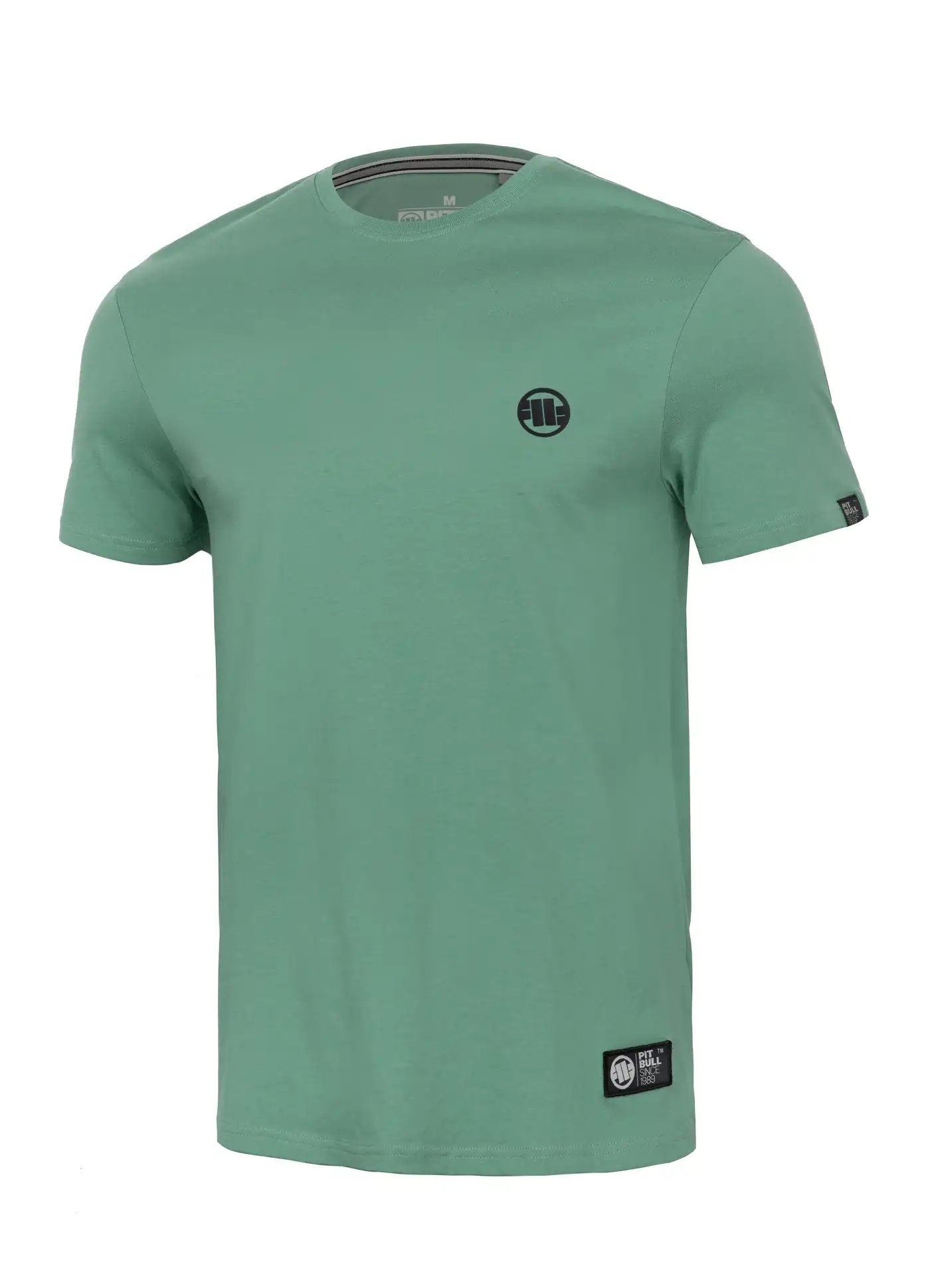 Pánske , klasické športové tričko PIT BULL Small LOGO | MÄTOVÁ| XL