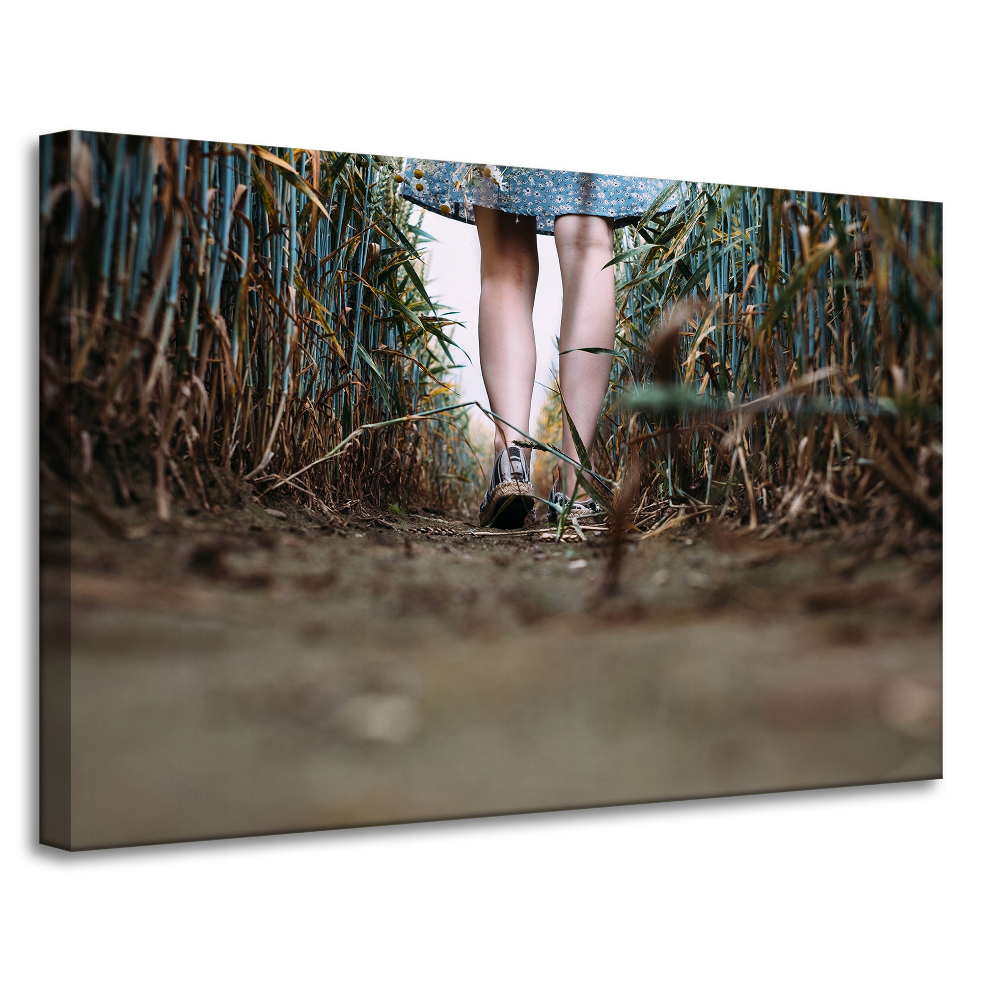 Obraz Canvas Příroda Procházka kukuřičným obilím 90x60