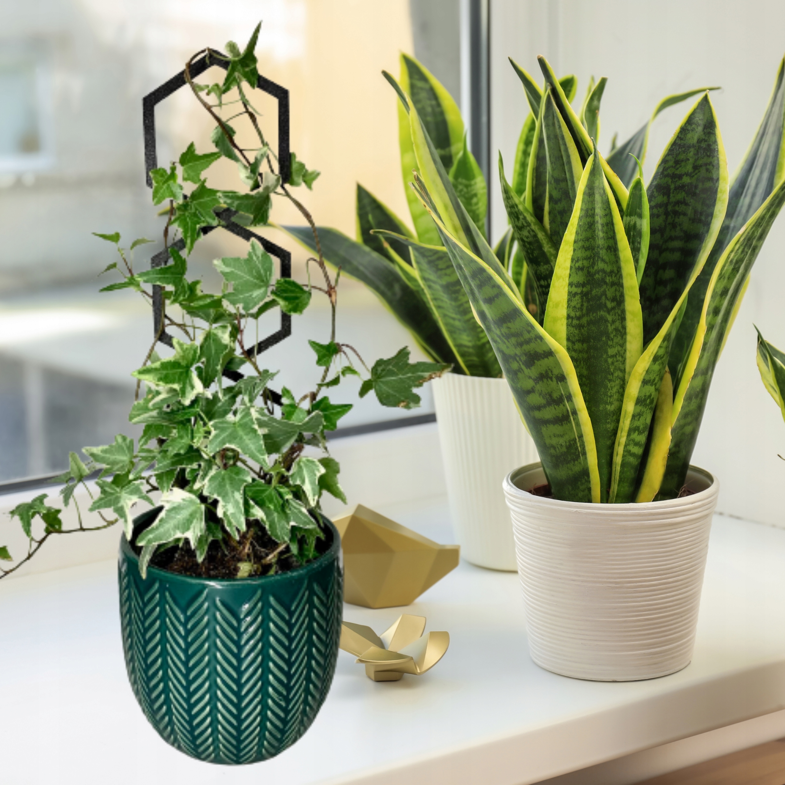 Podpórki do kwiatów roślin podpórka podpora HEXAL L 42 cm Kod producenta BASIC.42