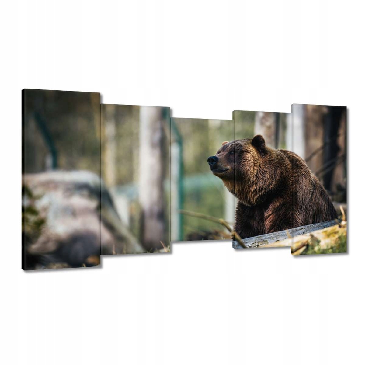 Obrazy 150x80 Zvířata Zvířátka