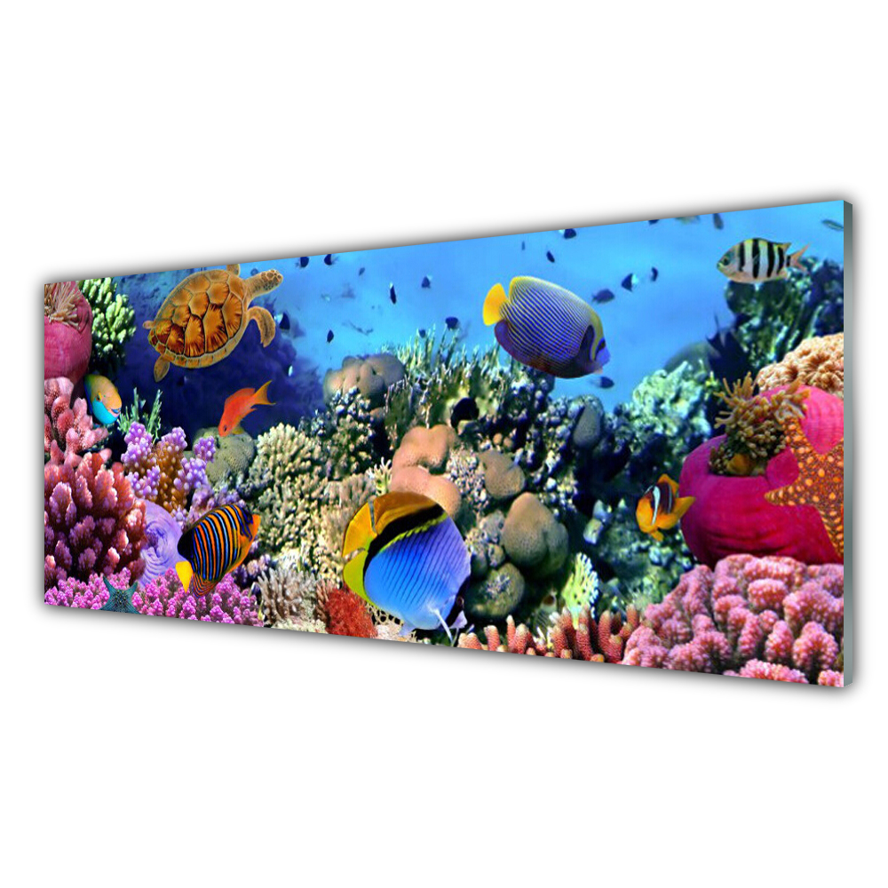 

Fotoobraz z nadrukiem 125x50 Rafa Koralowa Natura