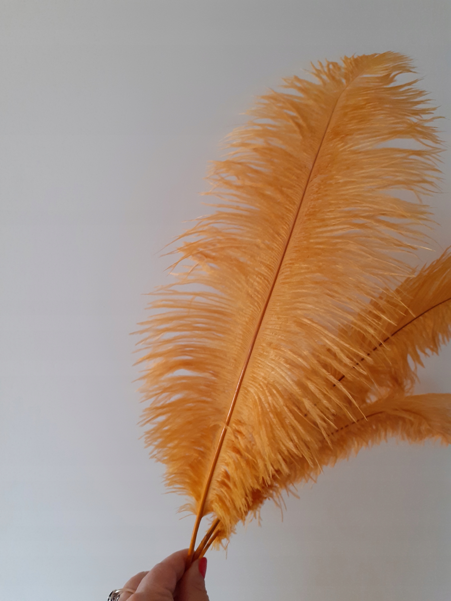 Strusie pióro 45-50 CM kolor miodowy/złoty Kod producenta SP45Z