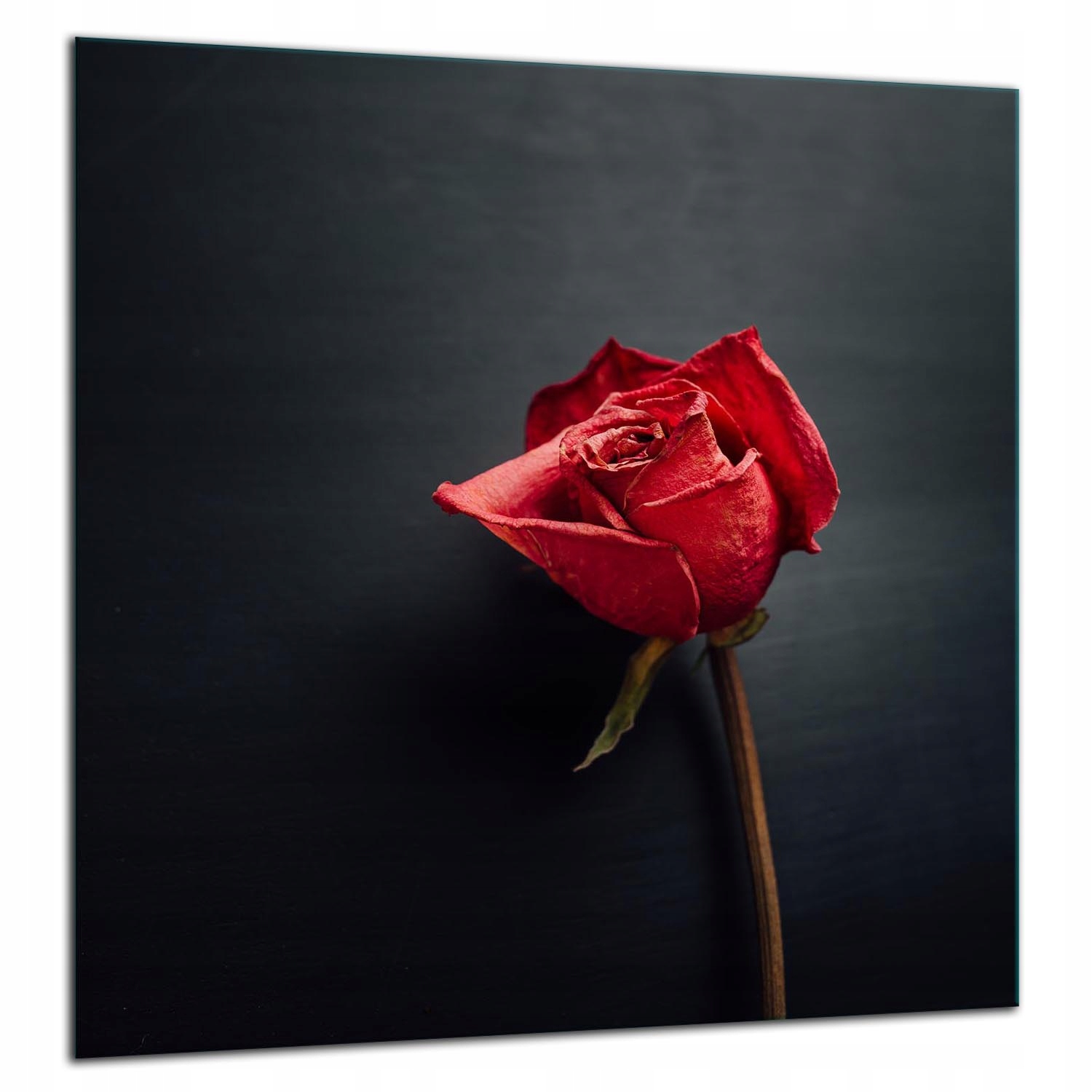 Skleněná Ochranná Deska Panel Lepidlo 60x65 Růžové Sklo Kuchyně 7v1
