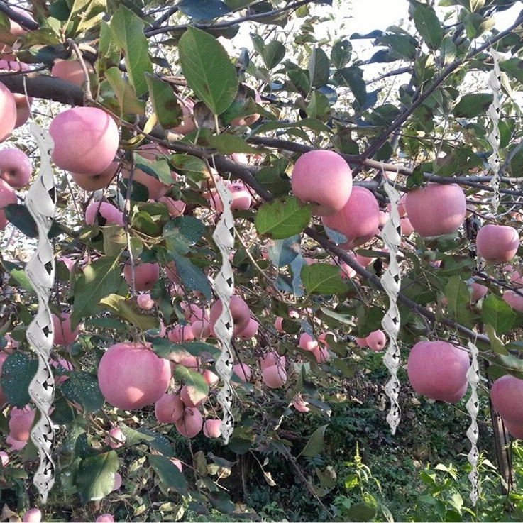 TWISTER ODSTRASZACZ PTAKÓW GOŁĘBI SZPAKÓW WRÓBLI Zastosowanie przeciwko ptakom