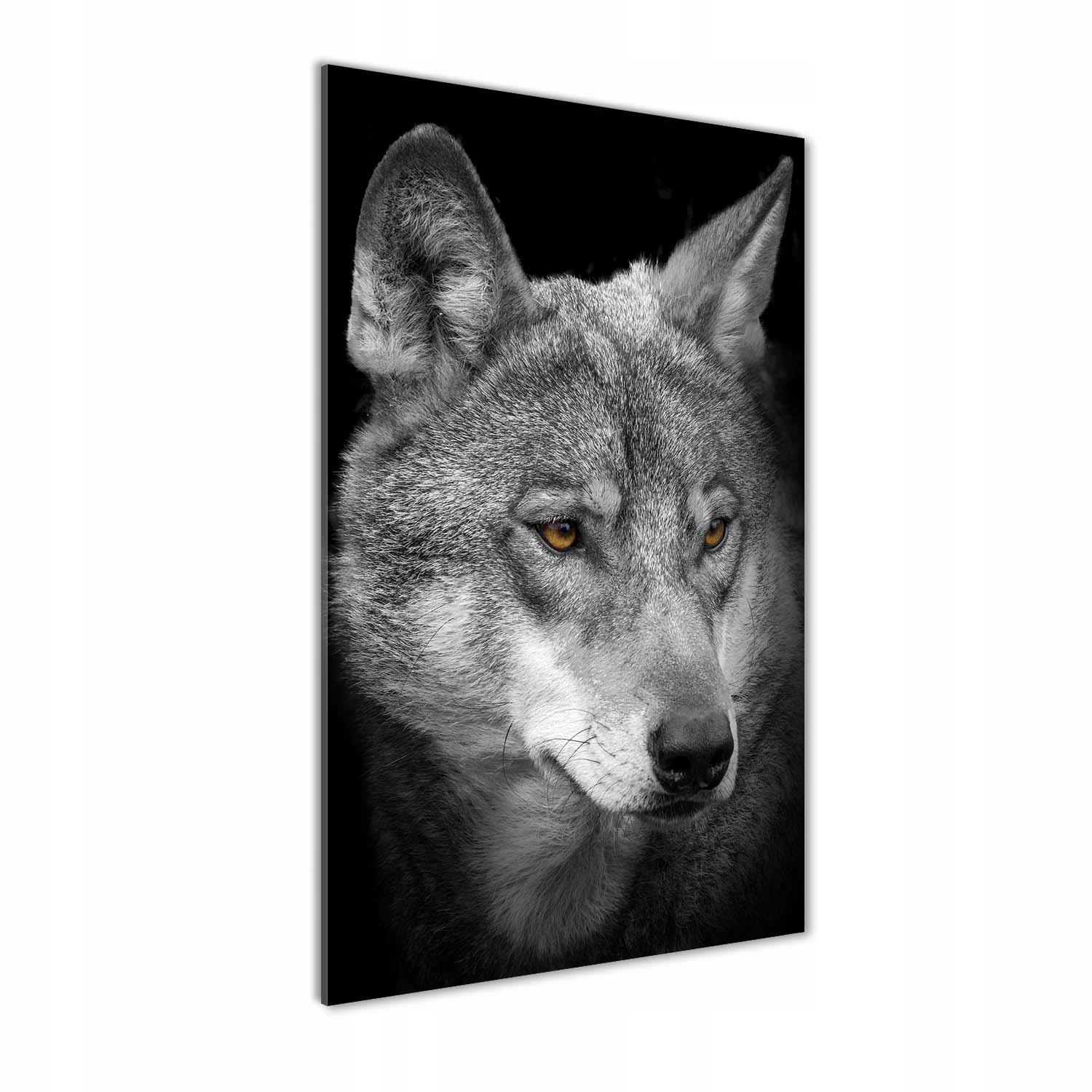 

Foto-obraz szkło hartowane Portret wilka 50x100 cm