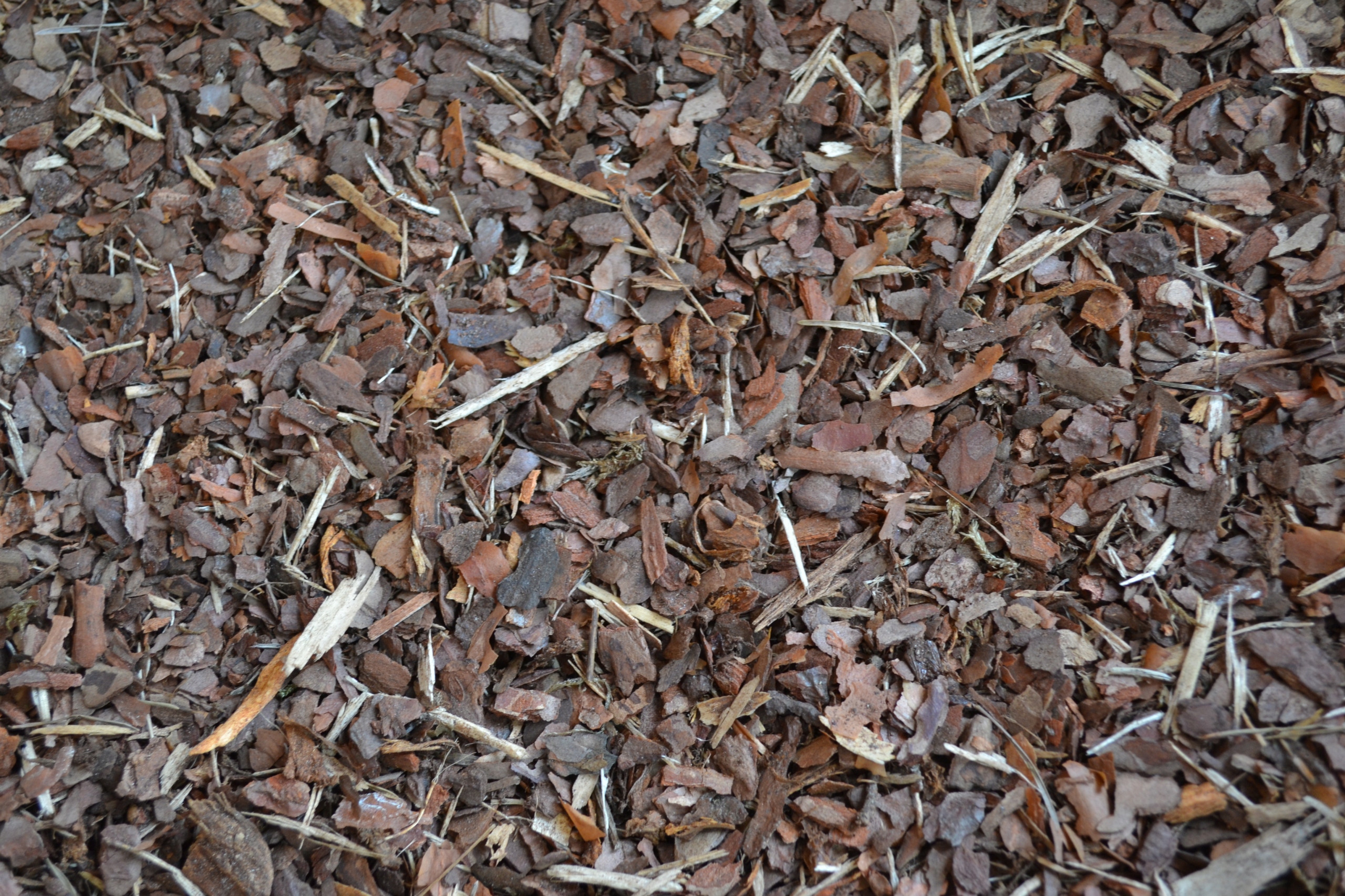 Kora Sosnowa Przesiewana Średnia 80 l EAN (GTIN) 5904204125215