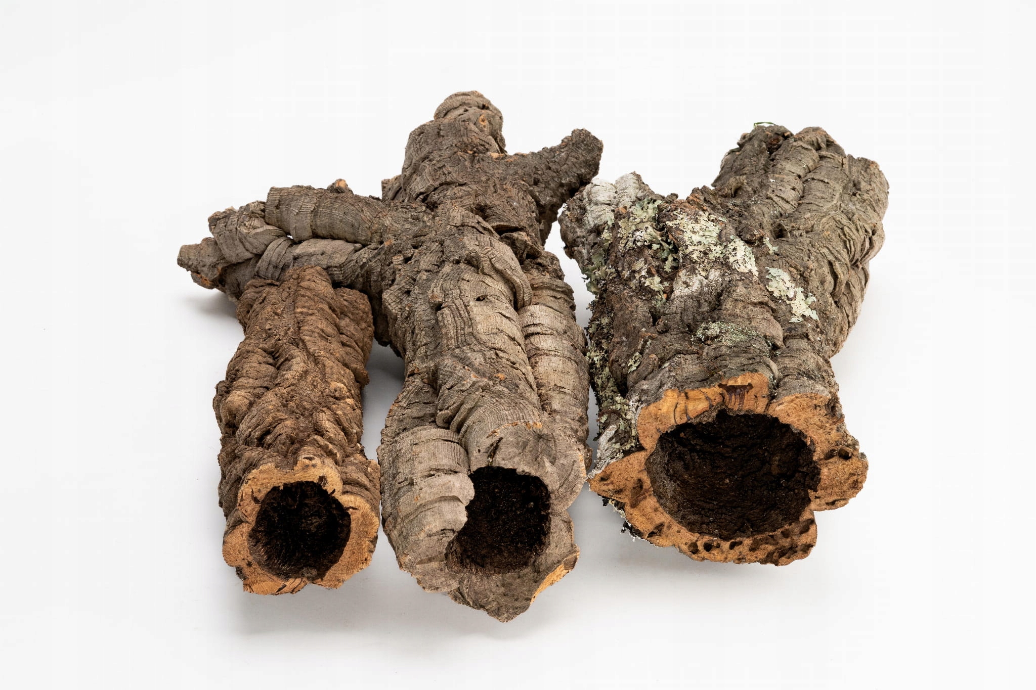 

Kora Dębu Korkowego Tuby mix do Terrarium 0,5kg