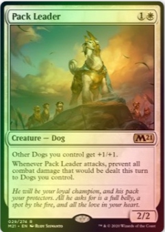 Pack Leader Foil M21 francuski Gratisy Pjotrekkk