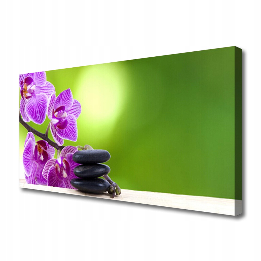 obraz na plátně Orchideje Zelené Květiny 100x50