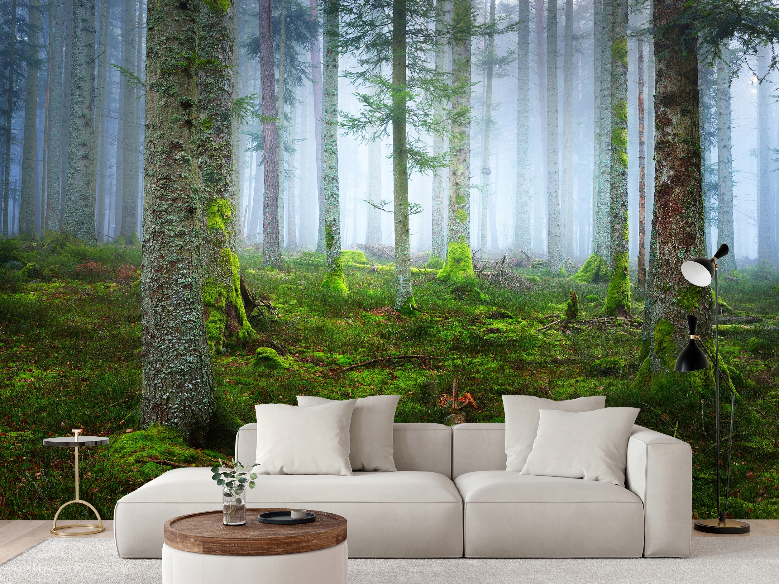 Fototapeta Mlžný Borovicový Les S Mechem V Alsasku Francie 368 x 280 cm