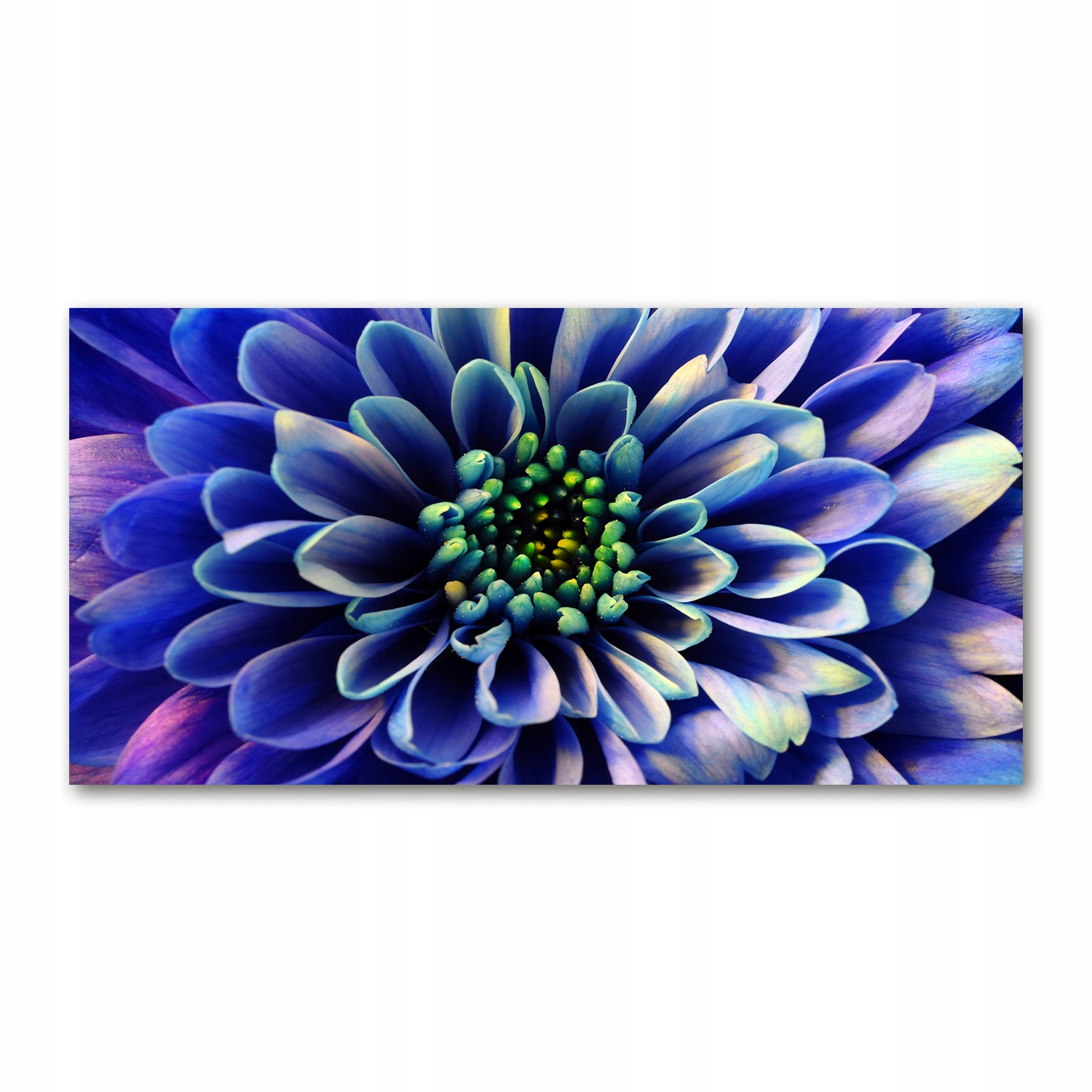 

Foto obraz akryl nowoczesny na ścianę Aster 120X60