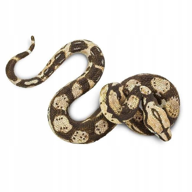 

Boa DUSICIEL-Boa Constrictor-Safari Ltd. 266529