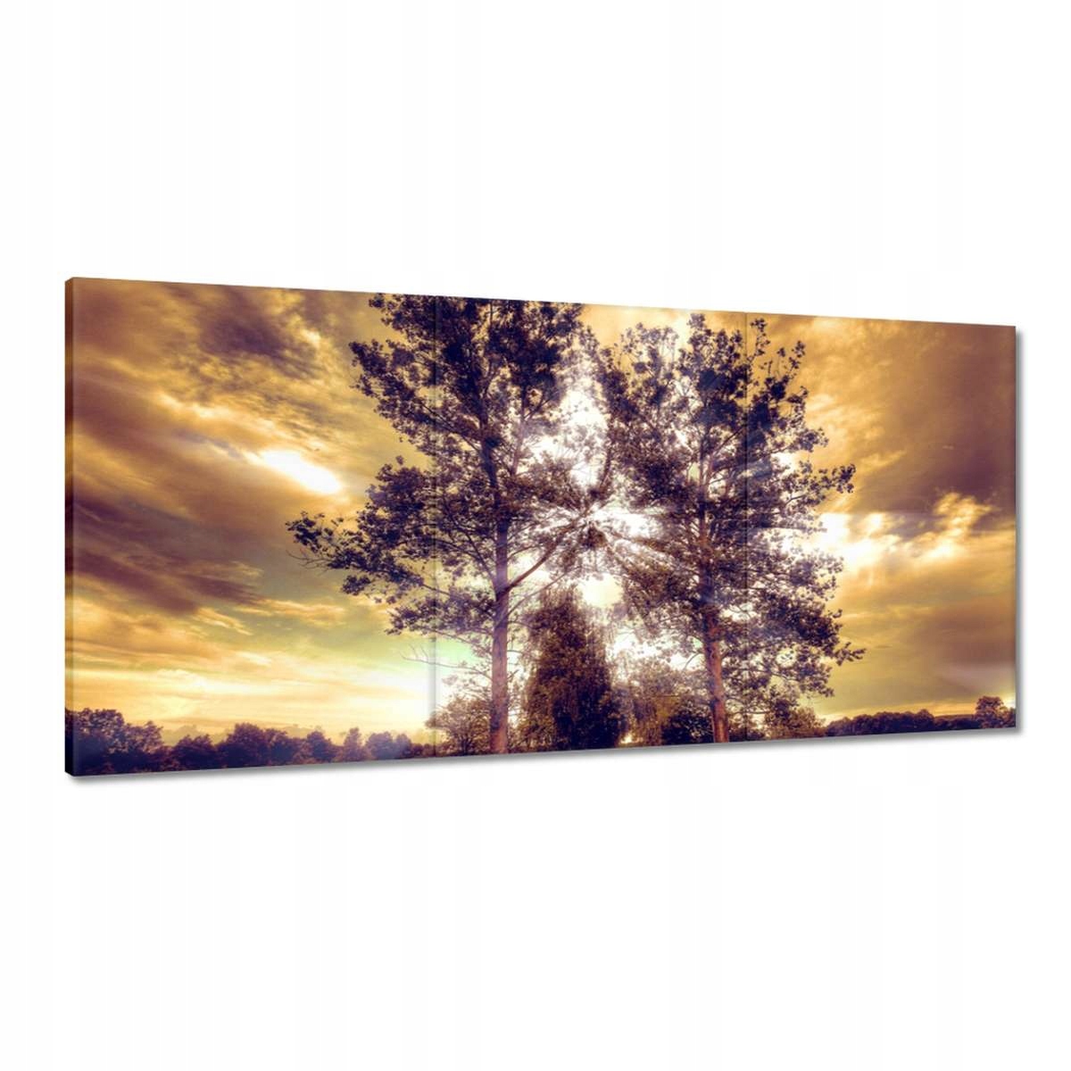 Obrazy 180x90 Vidiecka krajina s cestou