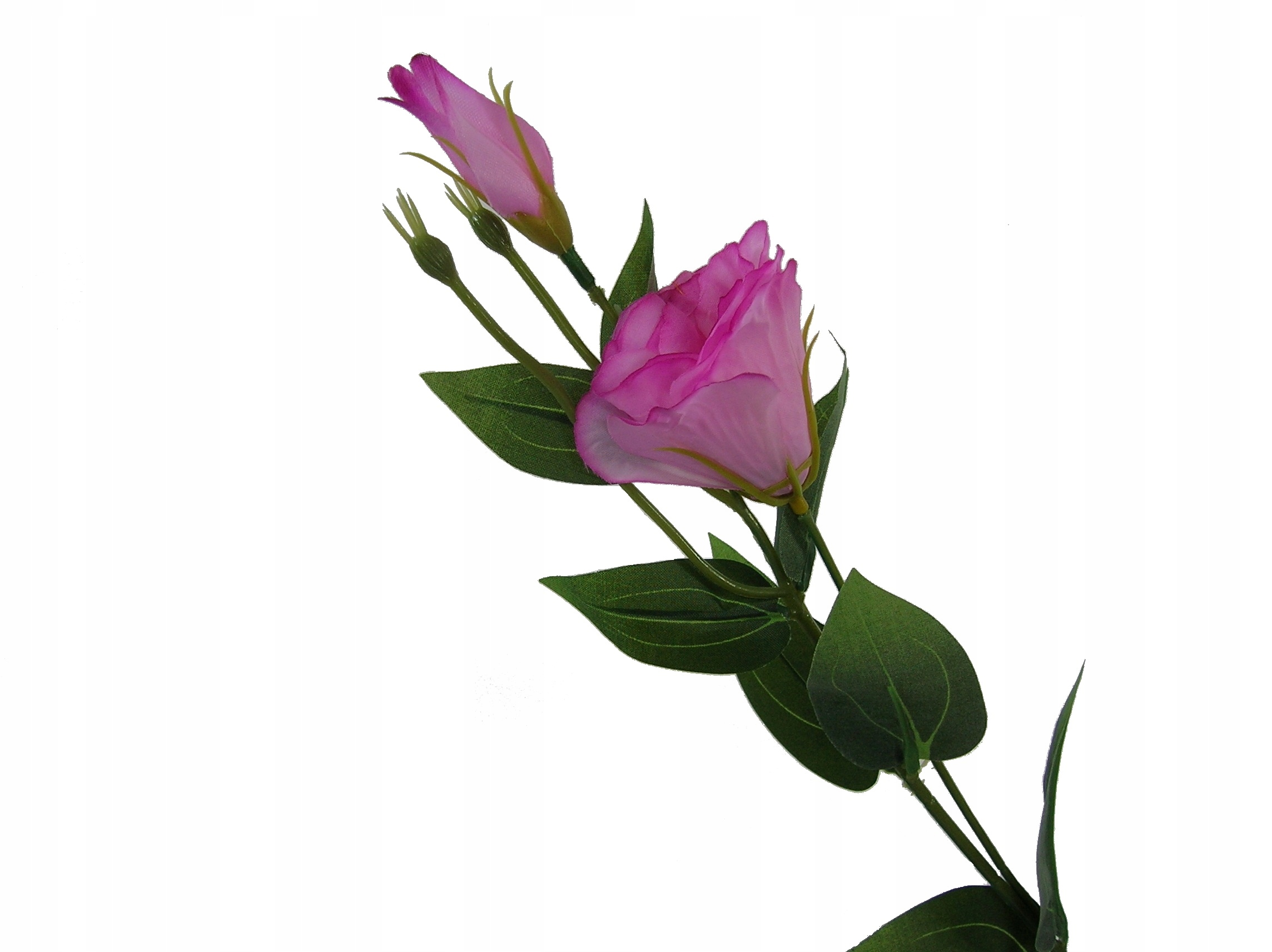 

Annpaso Sztuczna Eustoma Różowa Eustoma Gałązka