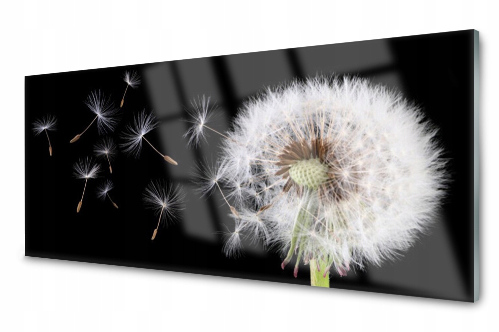

Panel szklany do kuchni Dmuchawiec Kwiat 125x50