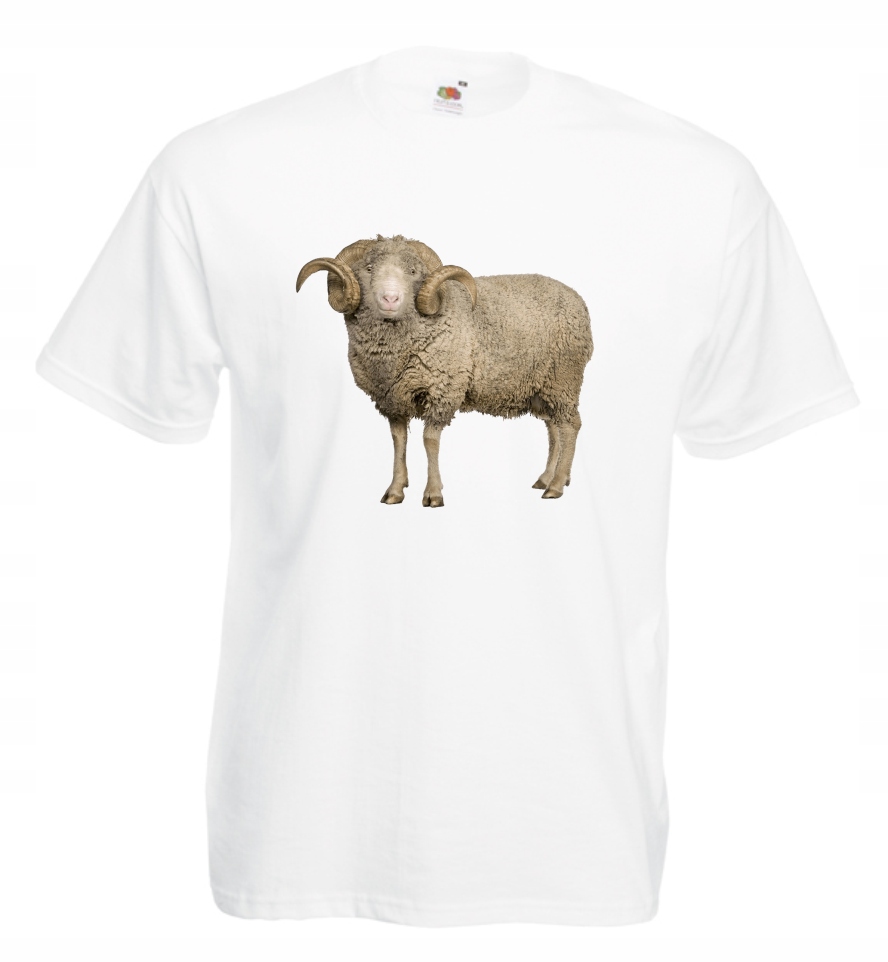 

Koszulka męska Baran r. XL