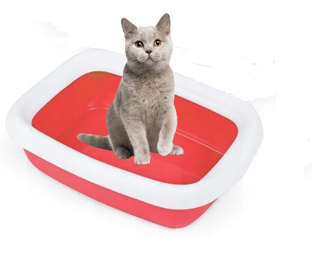 

kuweta dla kota z ramka toaleta Na Żwirek XL 49Cm